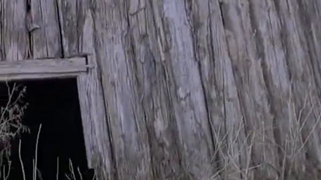 Сэттээх сир