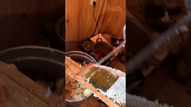 Пчеловод дегустирует мед #мед #пчеловод смотреть онлайн