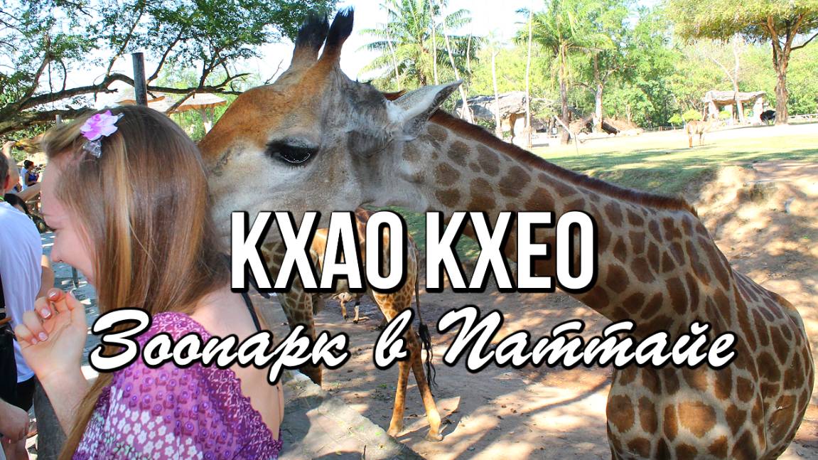 Кхао Кхео, зоопарк в Паттайе смотреть онлайн