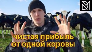 САМОЕ ВЫГОДНОЕ ЖИВОТНОЕ В ДЕРЕВНЕ///СКОЛЬКО МОЖЕТ ПРИНЕСТИ КОРОВА!???