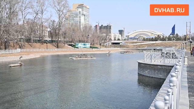 Городские пруды начали заполнять водой в Хабаровске