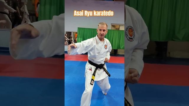 Asai Ryu karatedo. Техника рук. #каратэ *#asairyu #karate смотреть онлайн