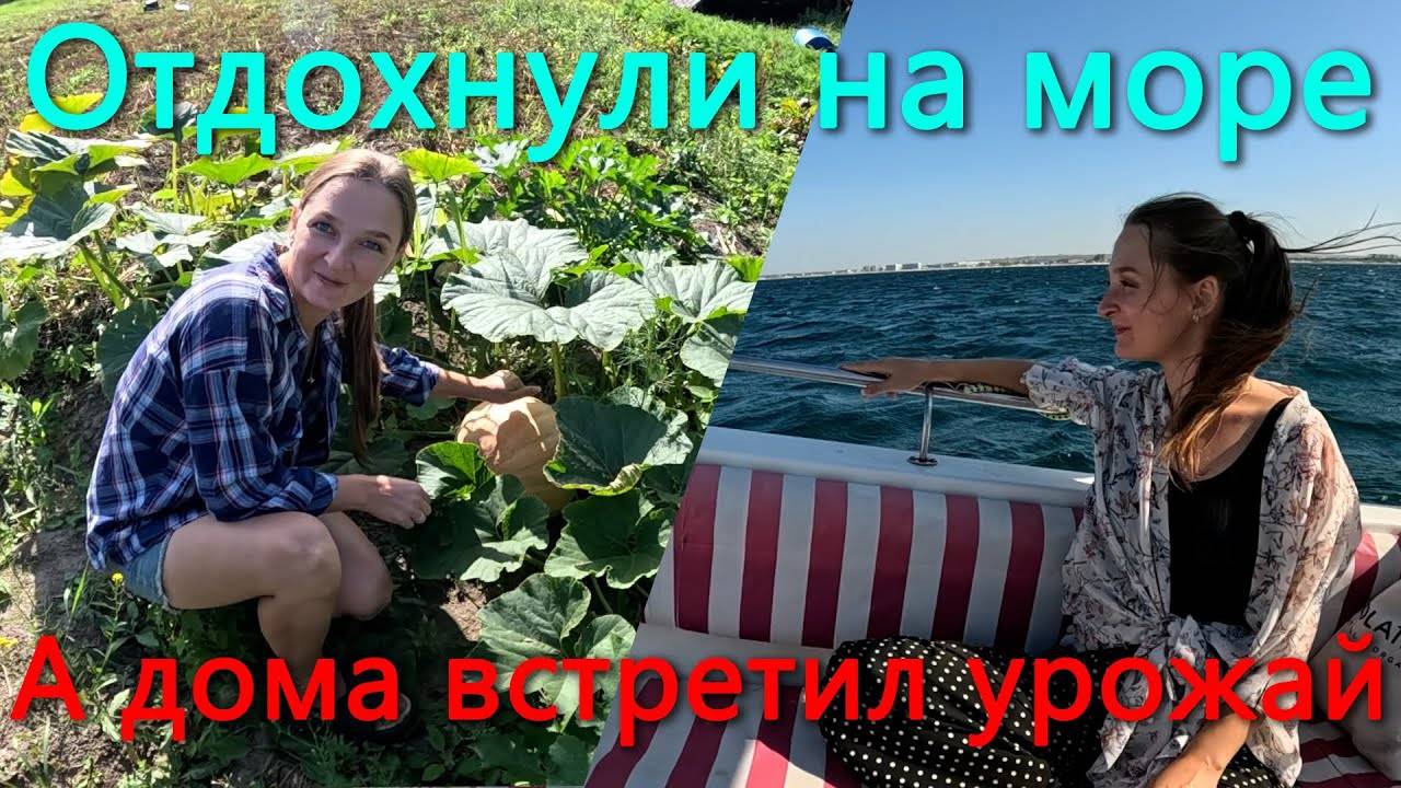 Уехали за 2000 км от дома, чтобы порыбачить. Вернулись домой а тут урожай попер. смотреть онлайн