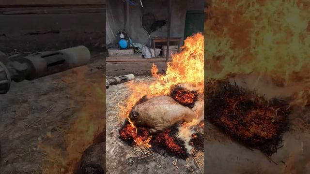 Сало #shorts #short #shortsvideo #shortvideo смотреть онлайн