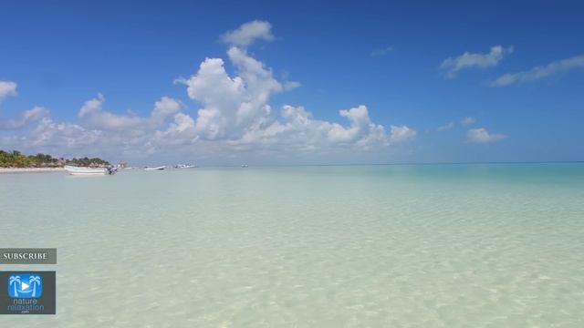 BLUE HORIZONS a Pure Nature Relaxation Video 4K UHD смотреть онлайн