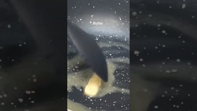 Cream of Spinach Soup Recipe #shorts #youtube #delicious смотреть онлайн