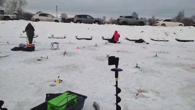 05-01-2025 смотреть онлайн