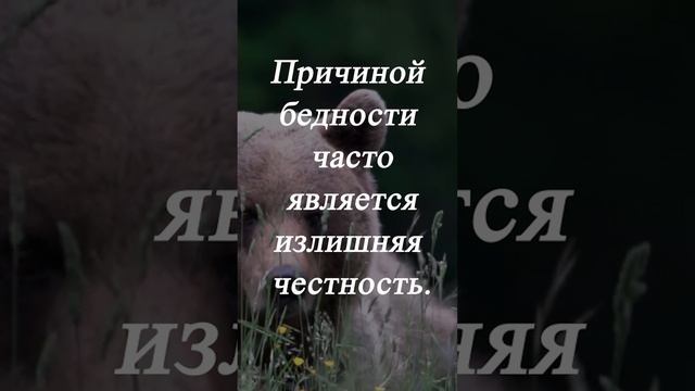 Как по-английски будет "окрошка"? смотреть онлайн