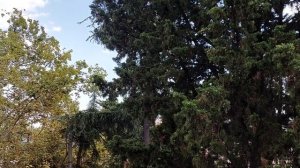 МОЛИТВА ДЛЯ ПОСВЯЩЁННЫХ!!! Игорь Роменский ПРОРОЧЕСКОЕ СЛУЖЕНИЕ!