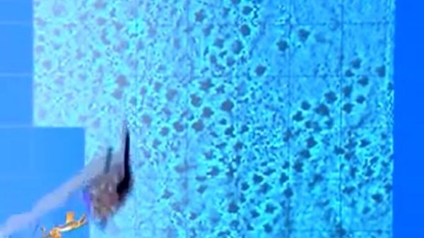 Первовсадник часть 1