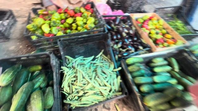 ХАЧМАЗ.БАЗАР.ЦЕНЫ И АССОРТИМЕНТ#azerbaycan#yummyfood#tastyfood#еда#baku#xaçmaz#travelvlog#