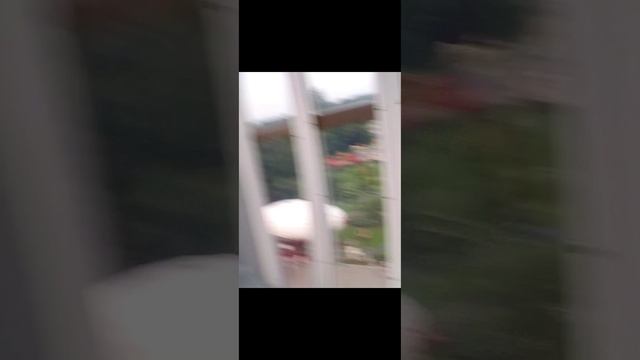 Диво остров моими глазами смотреть онлайн