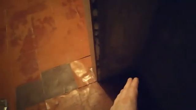 Как свести кошку с котом в квартире первый раз если кошка не подпускает кота ? смотреть онлайн