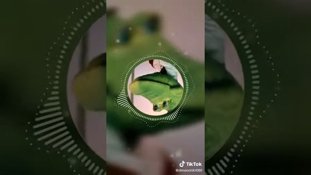 почему🚔 гена человека плод и за👉 рубежом♏(3) смотреть онлайн