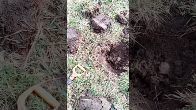 1 рубль 1912 г. Николай 2 смотреть онлайн