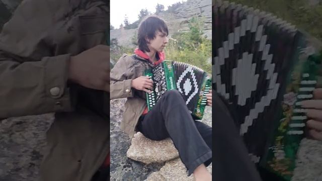 "Прячемся, дождь пошёл". Котька играется) смотреть онлайн