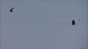 РЫБОЛОВ ИВАНОВИЧ . РЫБАЛКА НА ГРЕБНОМ КАНАЛЕ 2025 г.