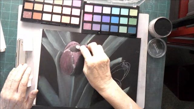Pastel Painting: Tulips On Bkack Paper Using Jane Davenport Palette Pastels: