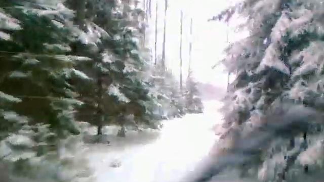 Viezd iz lesa cherez elki смотреть онлайн