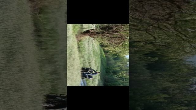 1000035121.mp4 смотреть онлайн