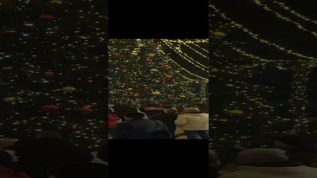 Море людей на набережной Ялты 2025. Крым сегодня смотреть онлайн