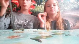 асмр/мукбанк пастила