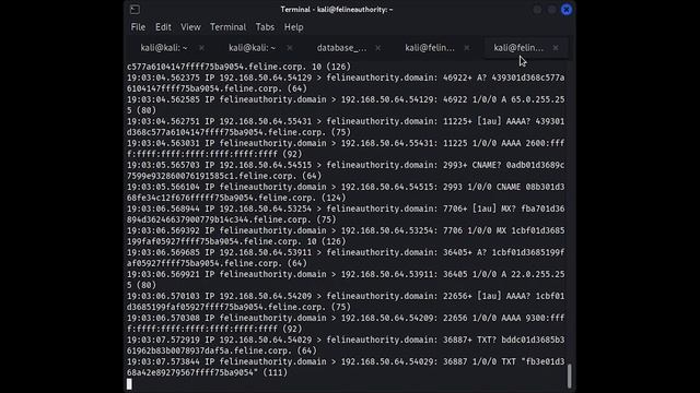 14.2.2. DNS Tunneling with dnscat2 смотреть онлайн