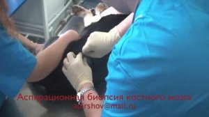 аспирационная биопсия костного мозга