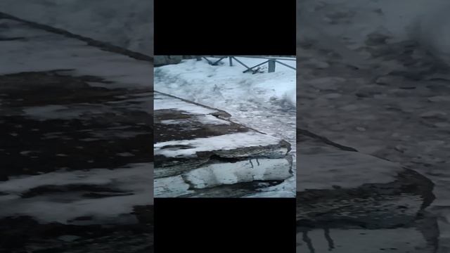 Кошка на улице зимой смотреть онлайн