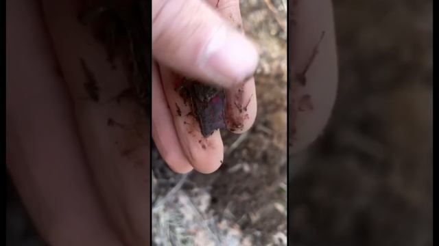 Находка смотреть онлайн