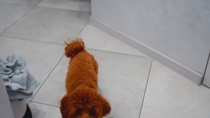 СТРАШНАЯ Подруга МАМЫ! Что скрывает мама от Амельки!