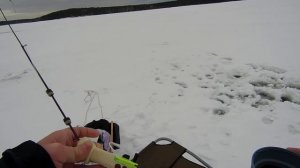 Рыбалка на белоярке. Безмотылка. Ржавчик.