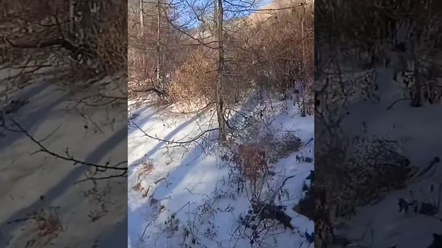 Сибирь, Бурятии, природа