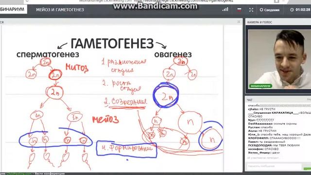 7 смотреть онлайн