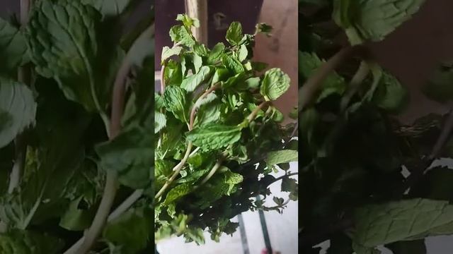 9 April 2024 смотреть онлайн