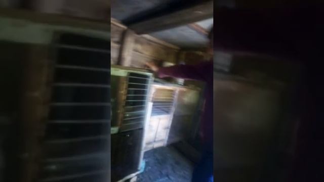 "Новые клетки для кроликов"🐾 смотреть онлайн