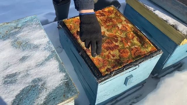 Зимовка на улице!!! Теория и практика!!! смотреть онлайн