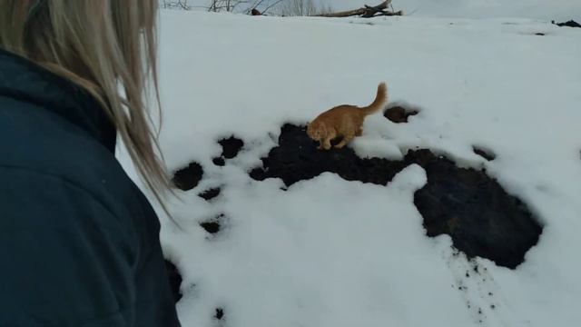 Кошечка Юлька на Юлианкином озере смотреть онлайн