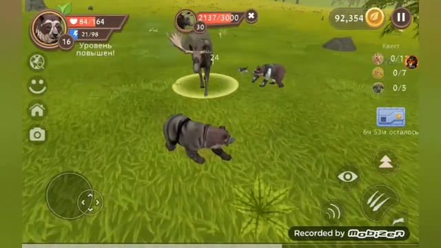 Рысь против медведя смотреть онлайн