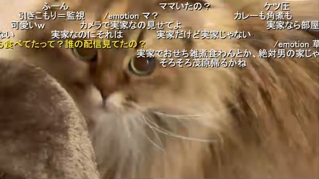 4 มกราคม 2568 สวัสดีปีใหม่ 2568 (Lv346702228) โนอา смотреть онлайн