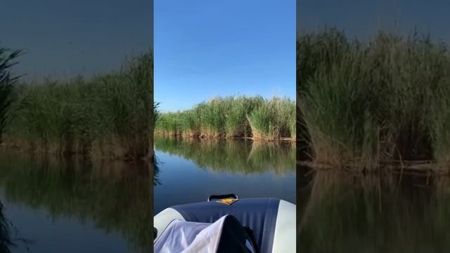 Рыбалка Лодка Алматы смотреть онлайн