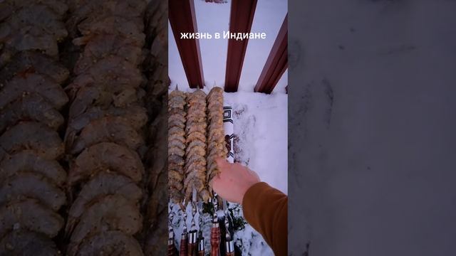 шашлык из креветок.