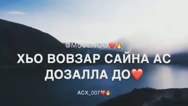💥Сан доттаг1 Дик накъост ваша Ву хьо ❤️ АСХАБ ВАХАРАГОВ❤️🌹 чеченская музыка2018😍😍🤩🤩💥 смотреть онлайн