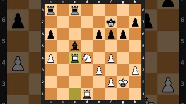 Zoltan Ribli-Anatoly Karpov, Amsterdam 1980, Result: 1-0 смотреть онлайн