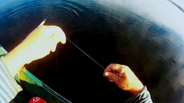 Рыбалка на кружки в селигерском тумане,8 переверток.