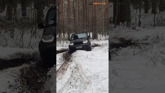 Интересный путь! смотреть онлайн