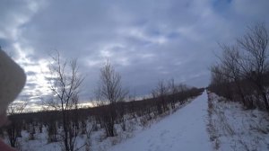 Охота на зайца. Отличная работа гончих собак, два зайца вышло на номер. Сезон 2024-2025 №208