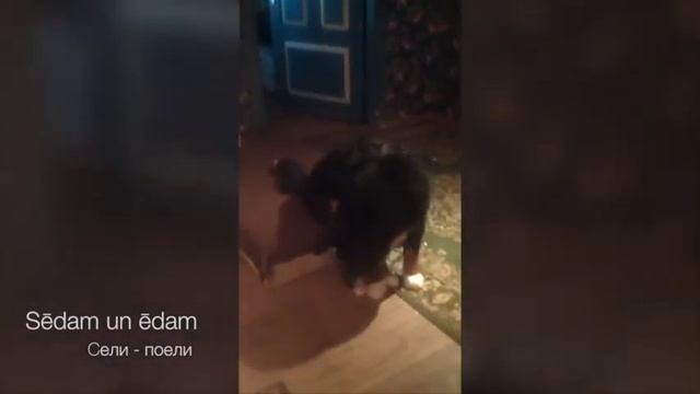 Sēdam un ēdam : Сели - поели... смотреть онлайн