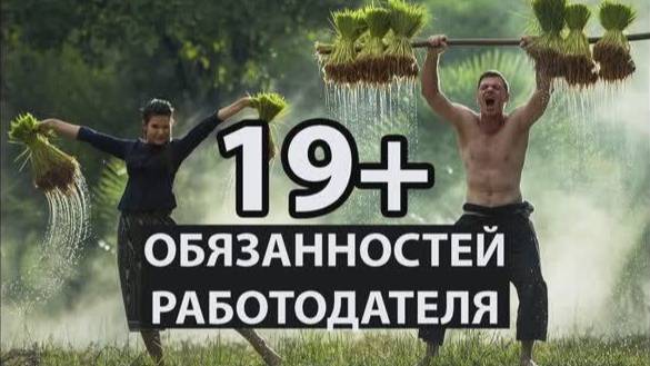 19+ обязанностей работодателя смотреть онлайн