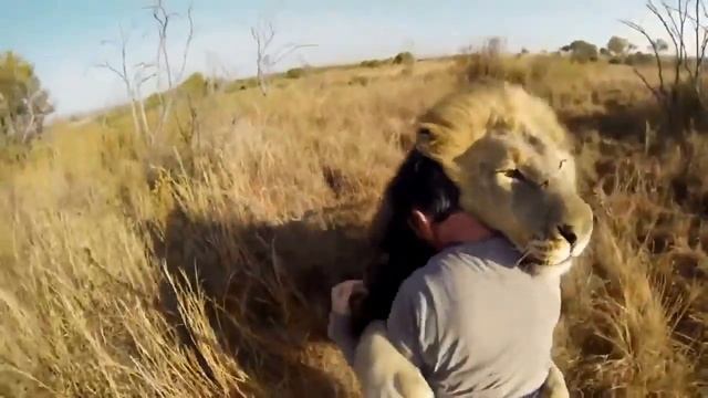 Обнимашки)) смотреть онлайн